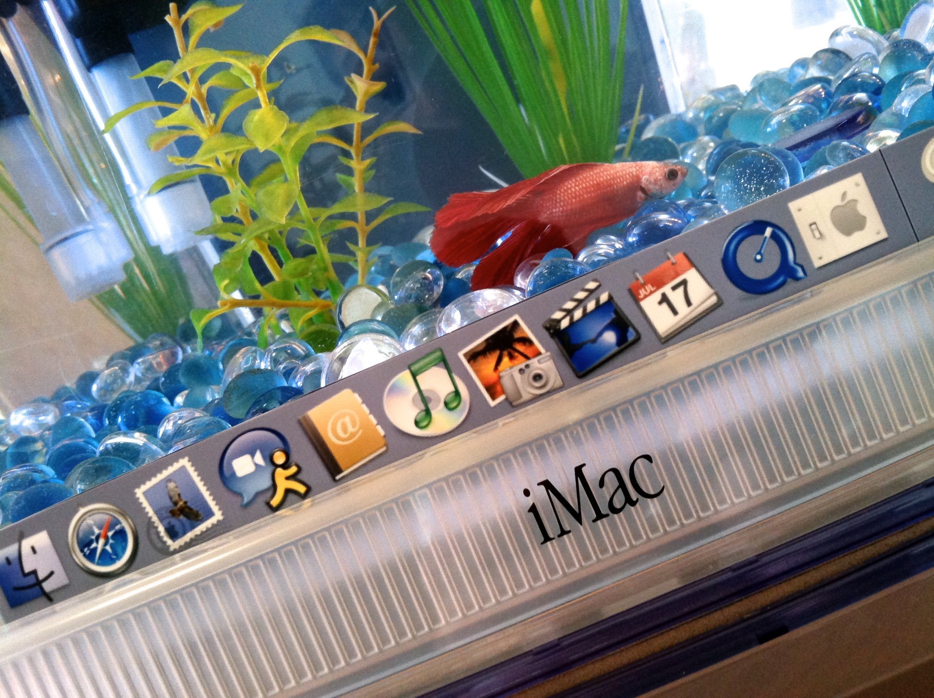 Bouw een compleet aquarium in je oude iMac
