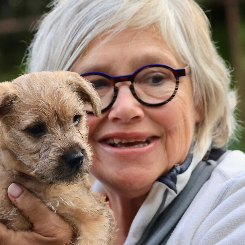 Annelies van der Horst